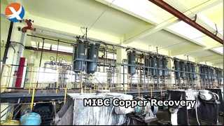 MIBC